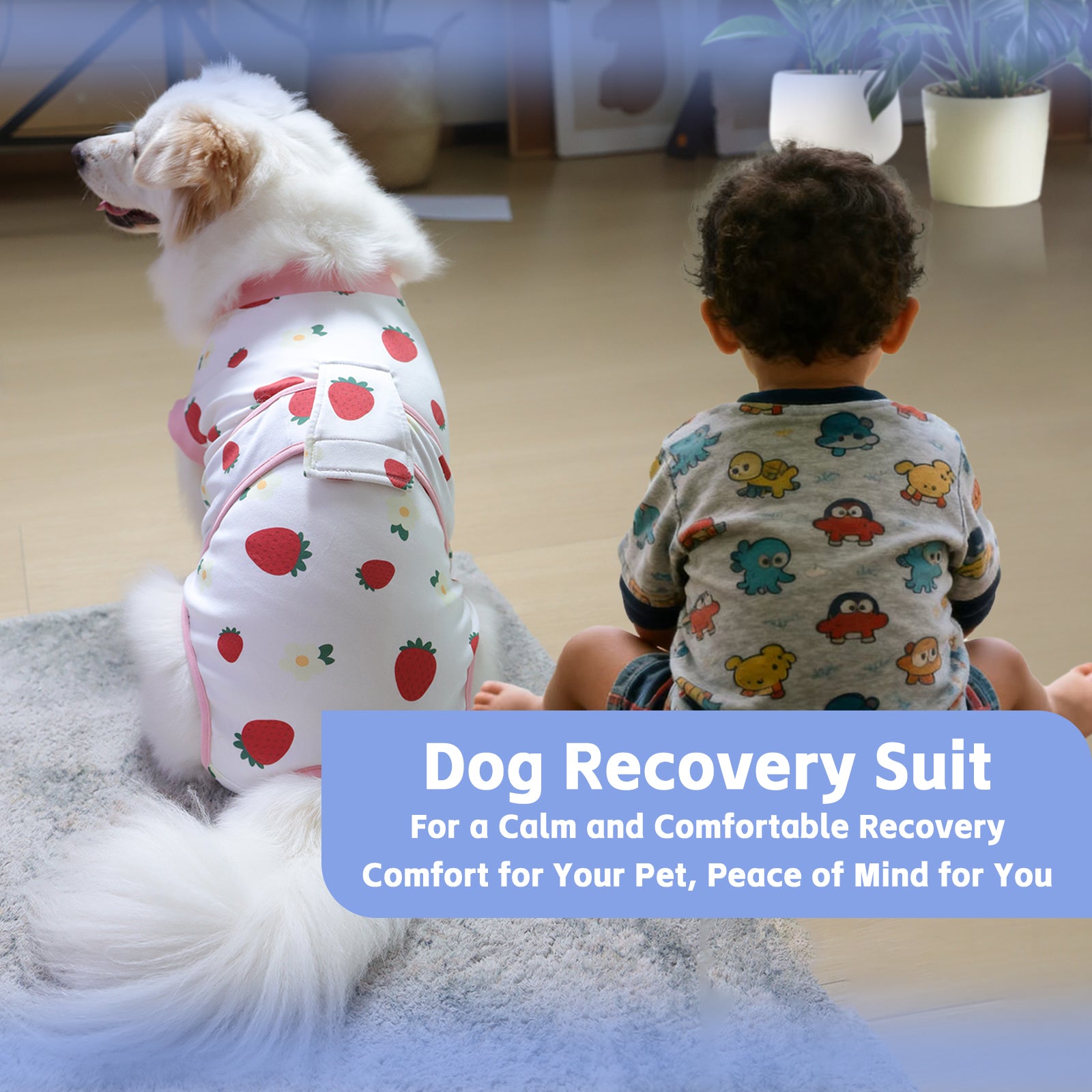 Dog Recovery Suit – Comfortable Post-Surgery Protection | Pet Glam FRUIT