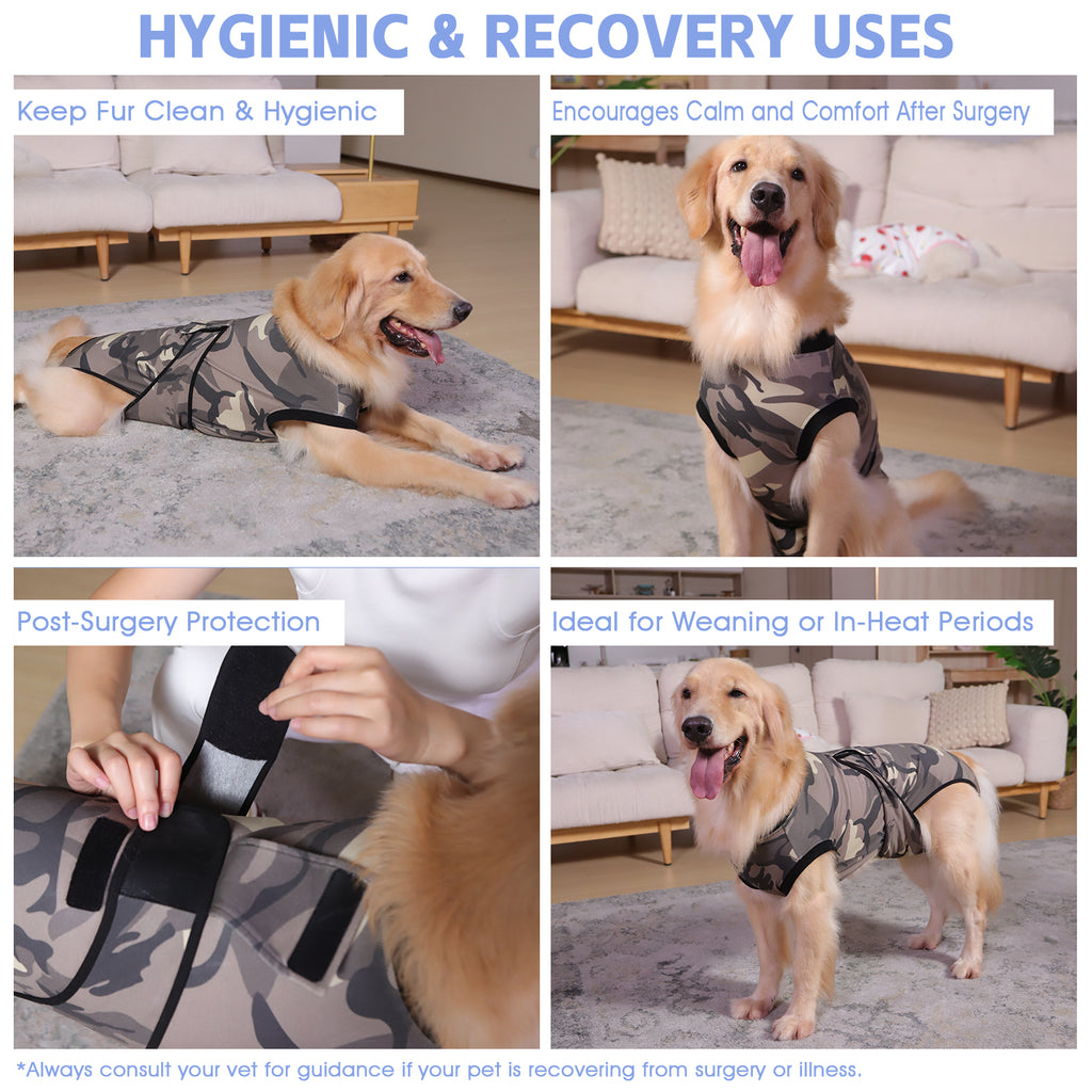 Dog Recovery Suit – Comfortable Post-Surgery Protection | Pet Glam CAMOUFLAGE