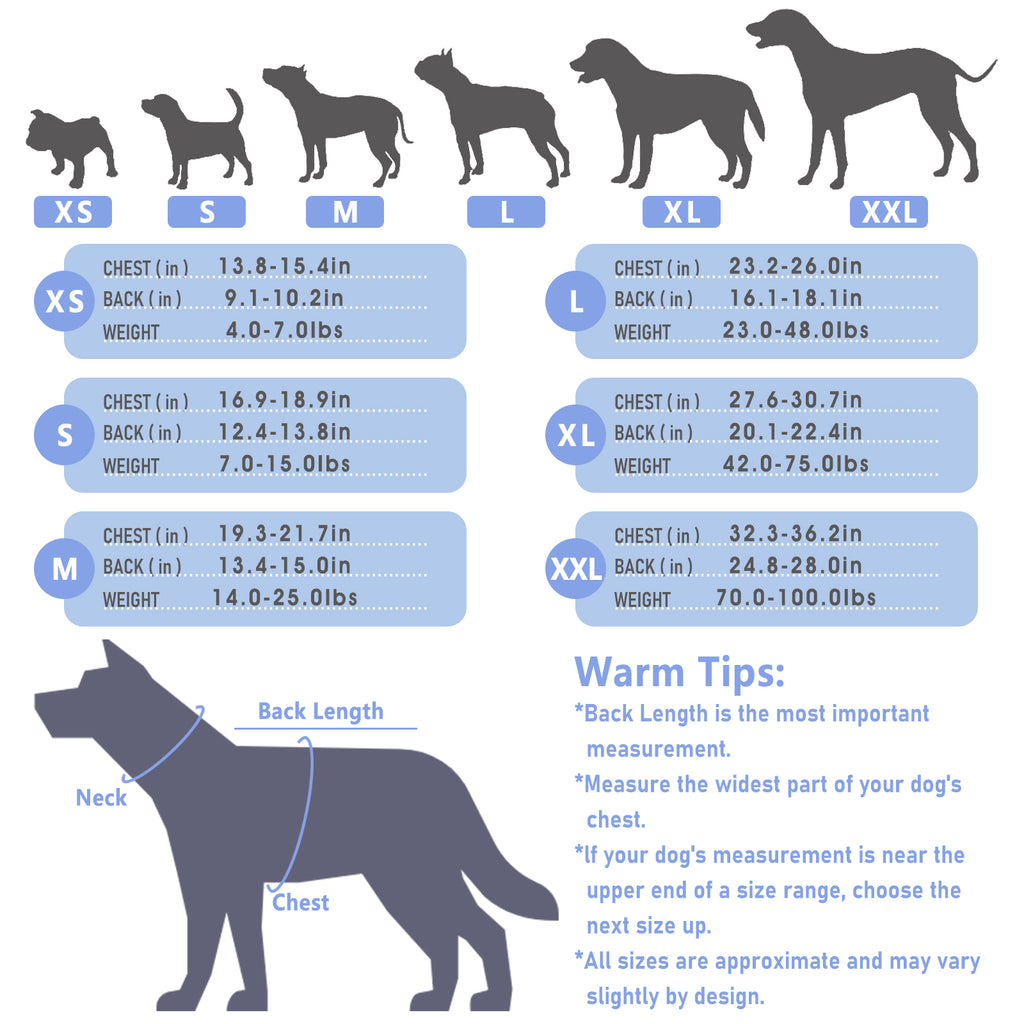 Dog Recovery Suit – Comfortable Post-Surgery Protection | Pet Glam FRUIT