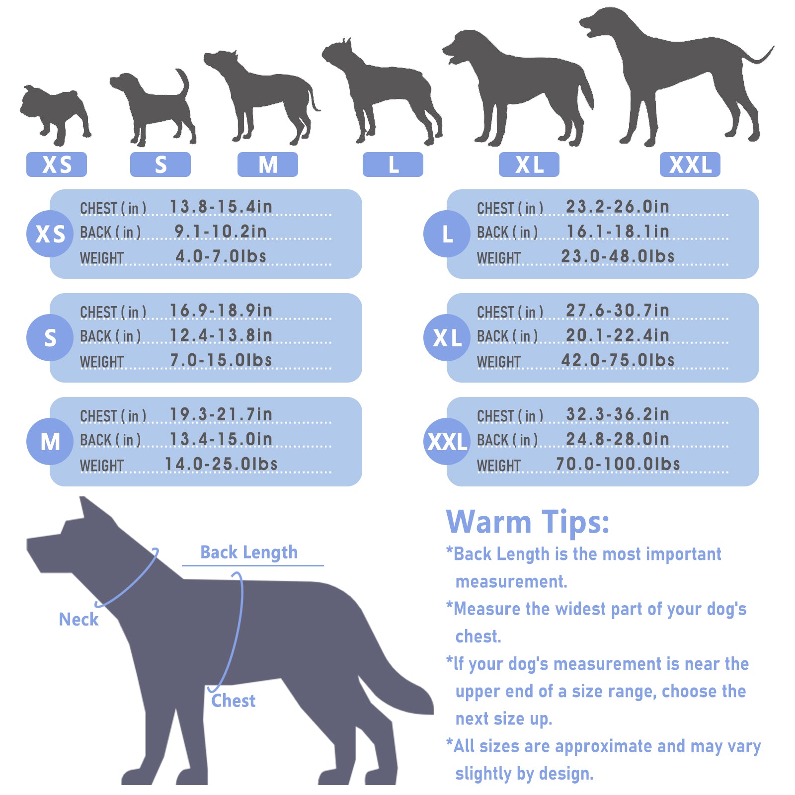 Dog Recovery Suit – Comfortable Post-Surgery Protection | Pet Glam FRUIT