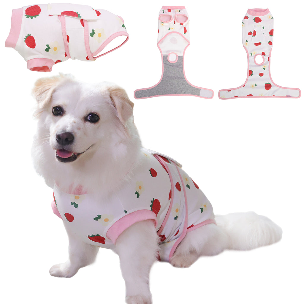 Dog Recovery Suit – Comfortable Post-Surgery Protection | Pet Glam FRUIT