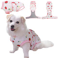Dog Recovery Suit – Comfortable Post-Surgery Protection | Pet Glam FRUIT