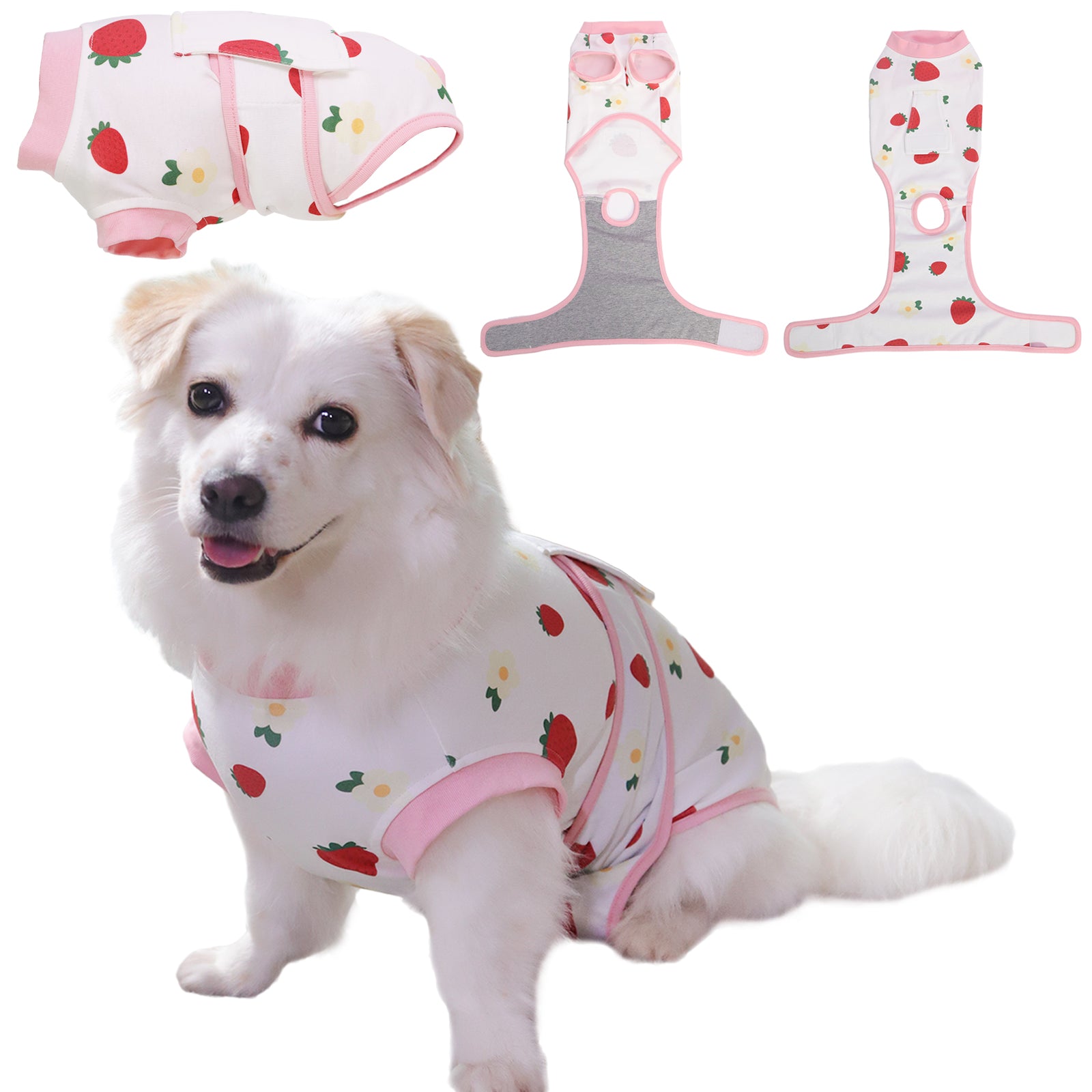 Dog Recovery Suit – Comfortable Post-Surgery Protection | Pet Glam FRUIT