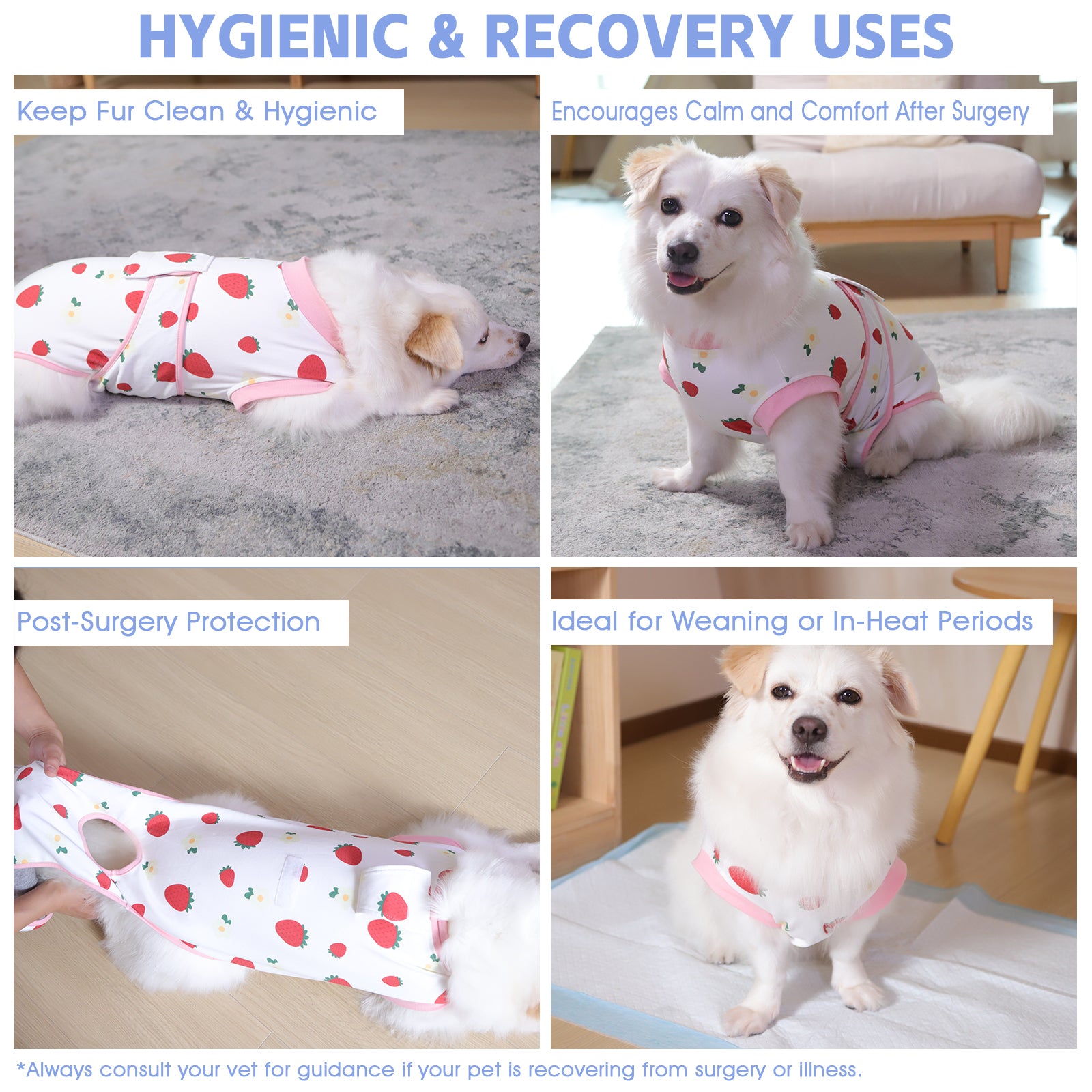 Dog Recovery Suit – Comfortable Post-Surgery Protection | Pet Glam FRUIT