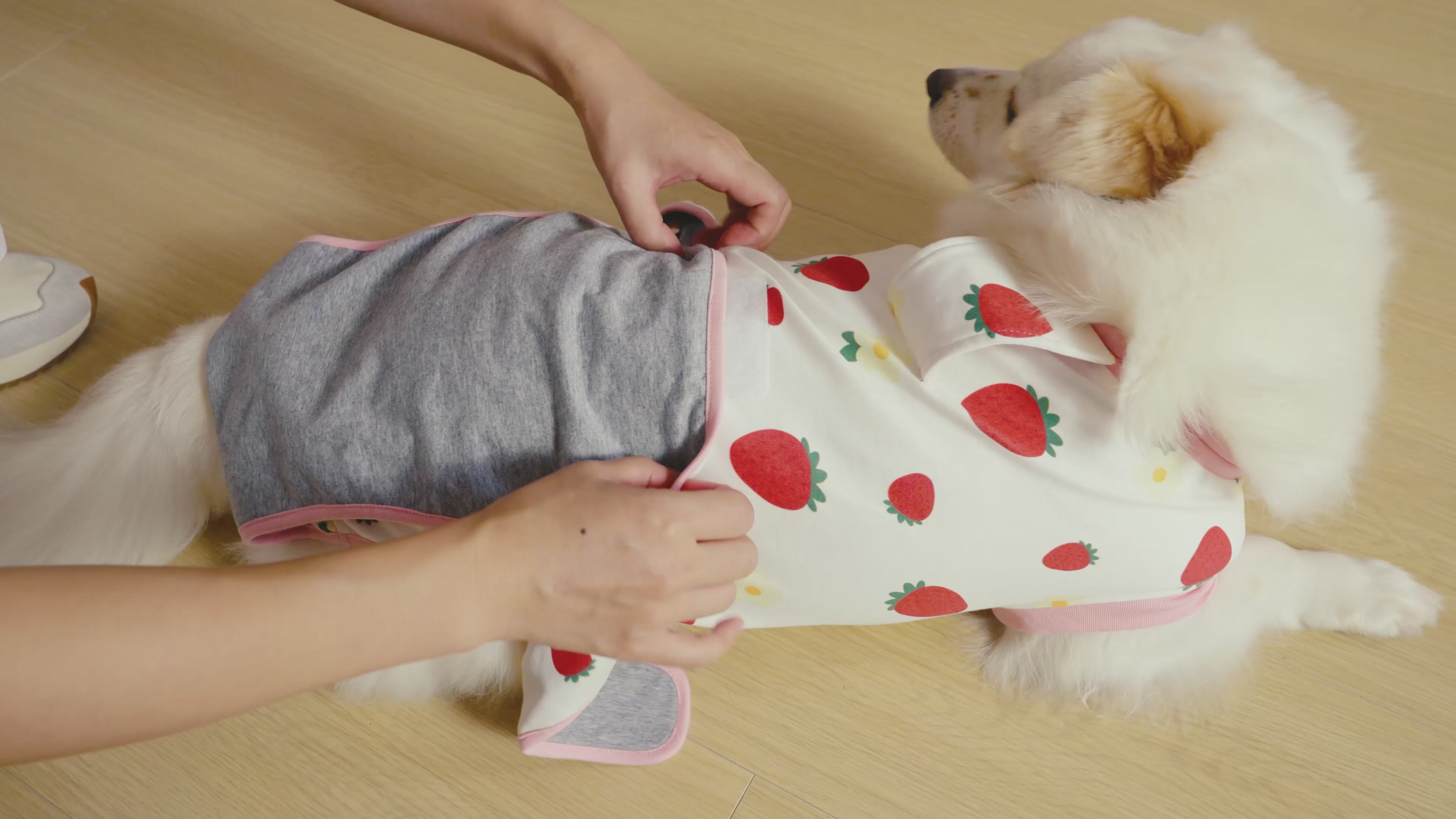 Dog Recovery Suit – Comfortable Post-Surgery Protection | Pet Glam FRUIT