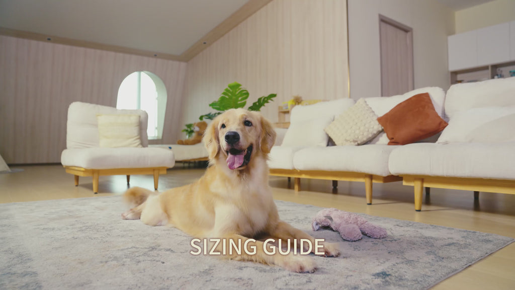 Dog Recovery Suit – Comfortable Post-Surgery Protection | Pet Glam FRUIT