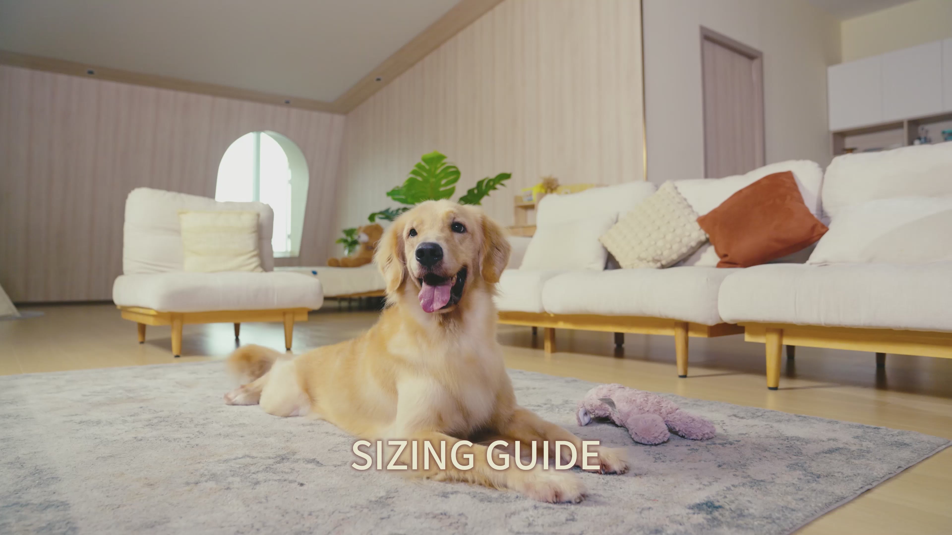 Dog Recovery Suit – Comfortable Post-Surgery Protection | Pet Glam FRUIT